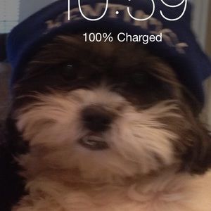 Meet your Posher, Jean